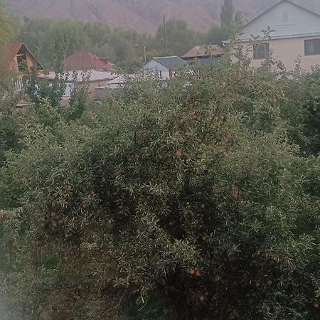"Kamchybek Ata" Guest House B&B Tert-Kul' Zewnętrze zdjęcie