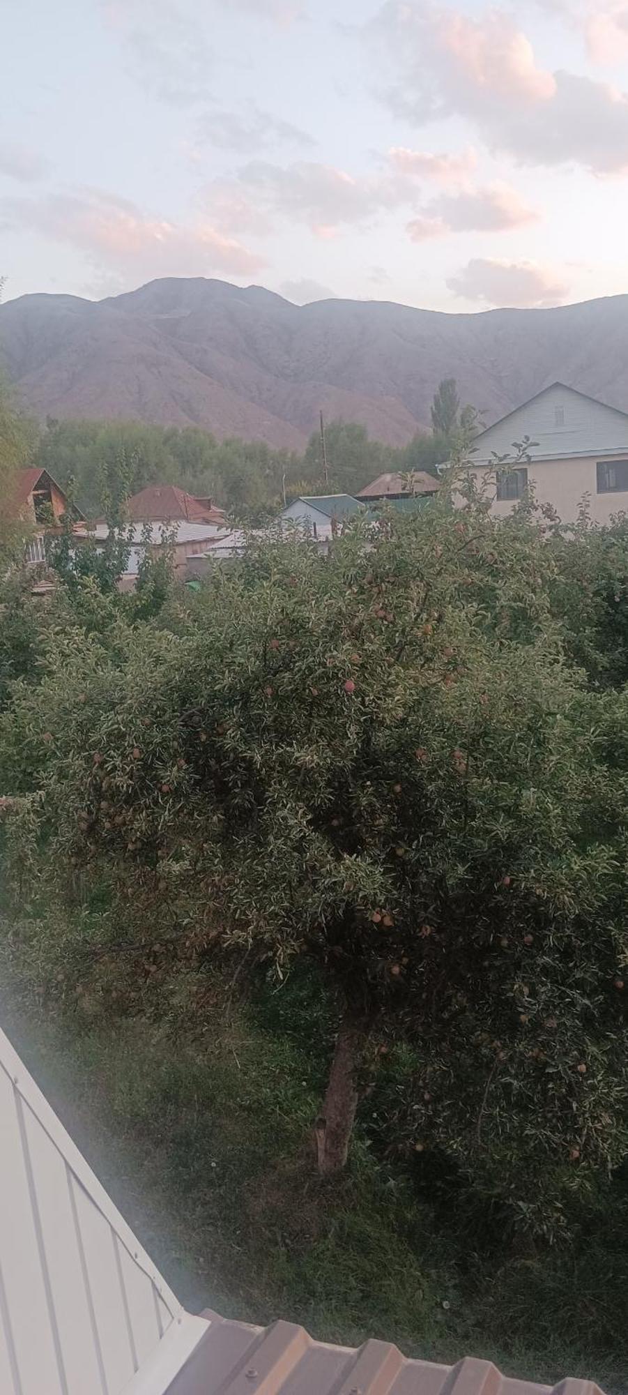 "Kamchybek Ata" Guest House B&B Tert-Kul' Zewnętrze zdjęcie